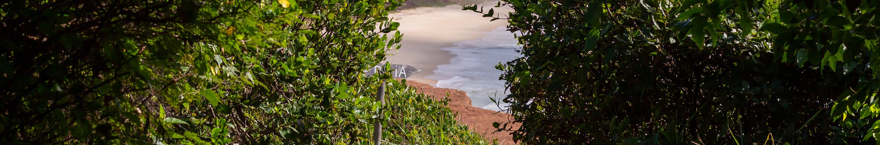 Trilha de areia entre a mata nativa que leva à praia de Sibaúma, no Kilombo Villas