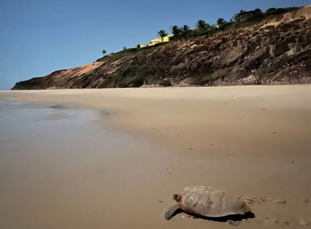 Hotel sustentável no Nordeste