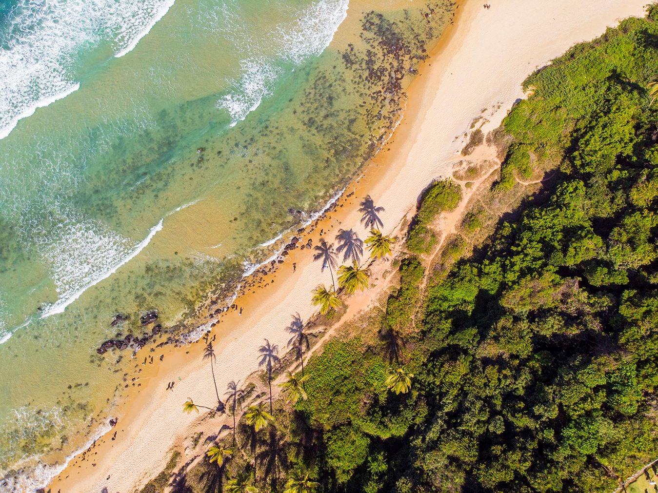 Guia da Praia da Pipa: um dos destinos mais desejados do mundo